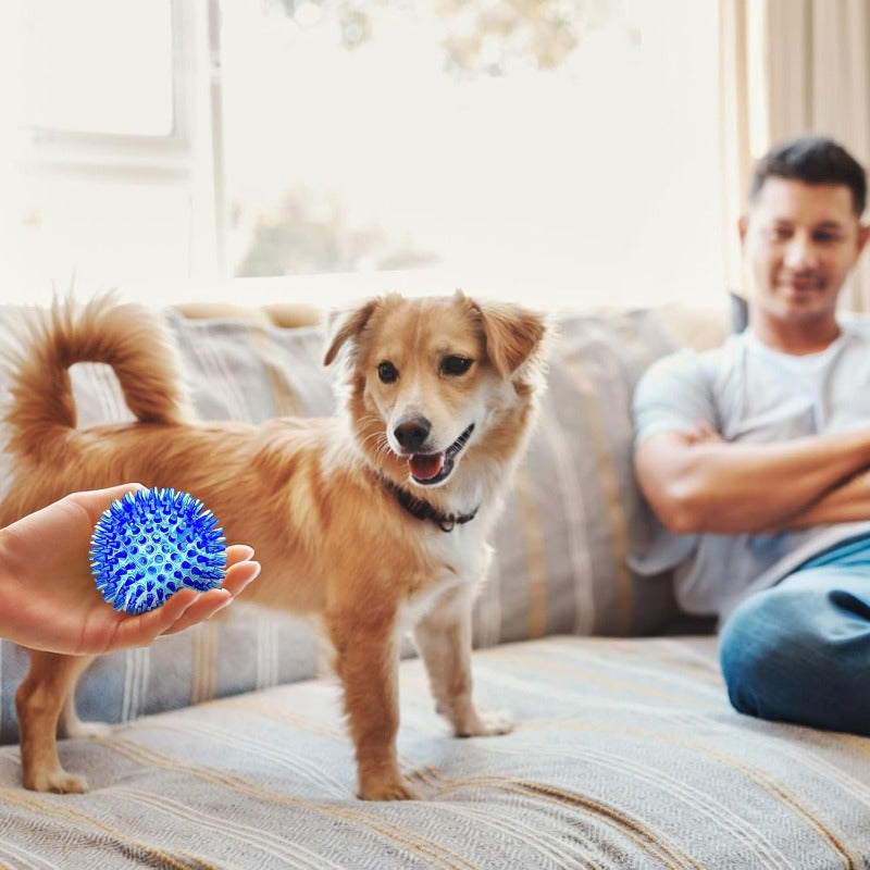 6 Pack Squeaky Dog Toy Balls, Floating Dog Pool Balls, Spiky Dog Balls Water Toys, Durable Interactive Fetch Toys for Puppy, Dog Chew Toys for Teething