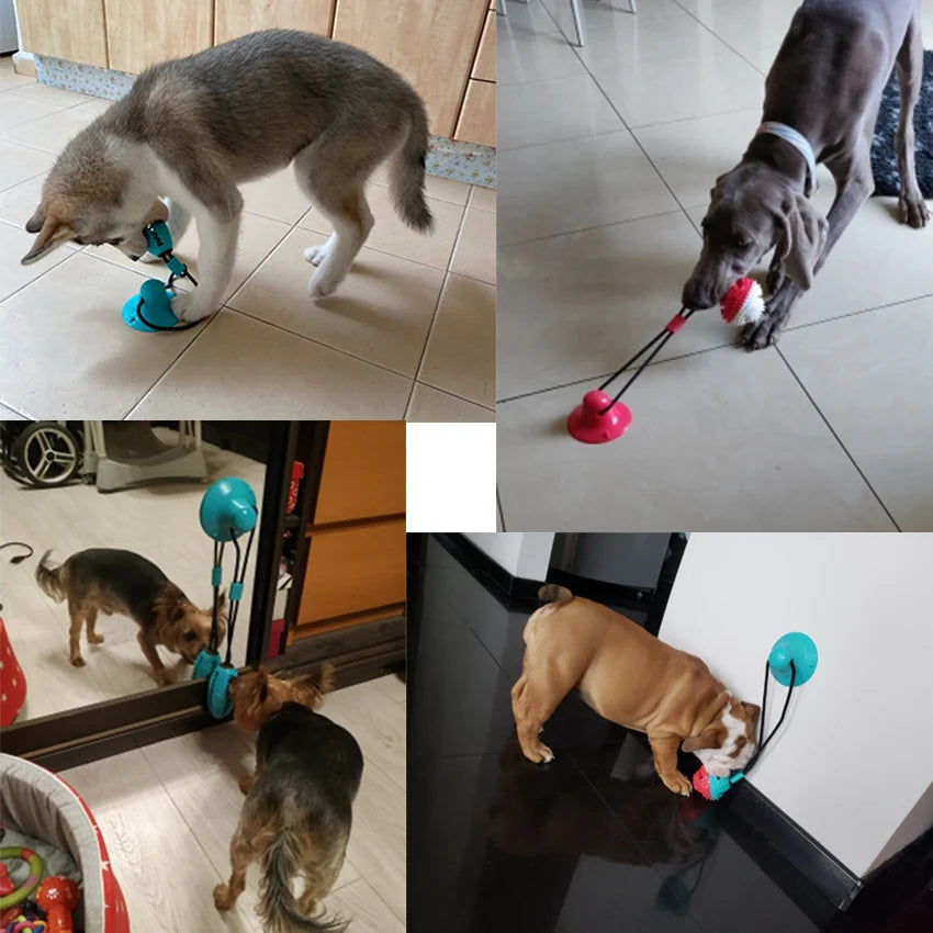 Dog Toys Silicon Suction Cup Tug Interactive Dog Ball Toy For Pet Chew Bite Tooth Cleaning Toothbrush Feeding Pet Supplies