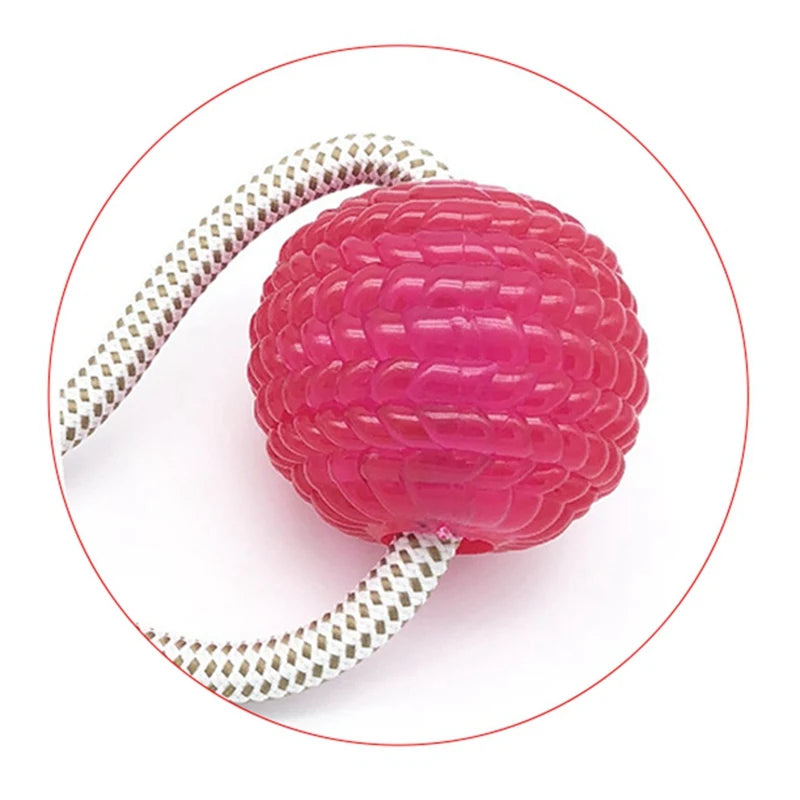 Pets Dog Toys Suction Cup Rubber Dog Chew Toys Pet Ball Tug Toy Tooth Cleaning Chewing Puppy Pet Toy Tug Rope Handle