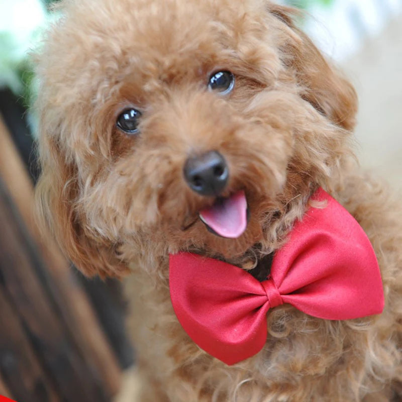 100pcs/lot Pet Christmas Gift For Dog Cute Bow Tie Cat Neck Tie Pet Grooming Accessories 20 Colors Adjustable Bows For Neck