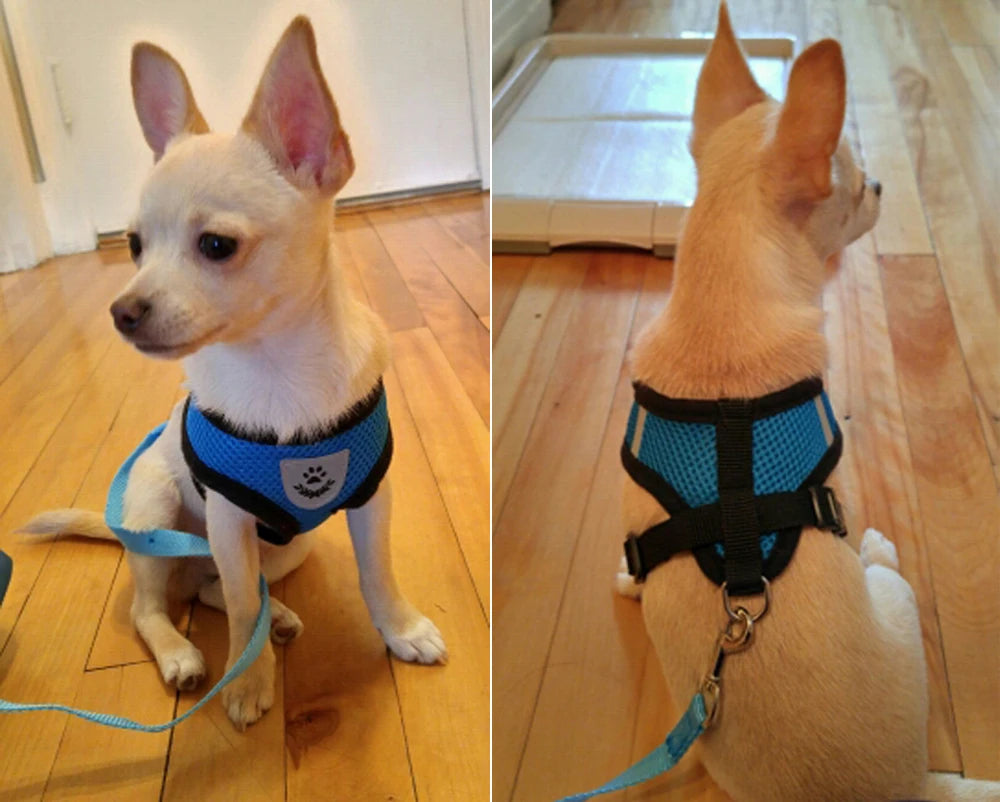 Breathable Mesh Small Dog Pet Harness and Leash Set Puppy Cat Vest Harness Collar