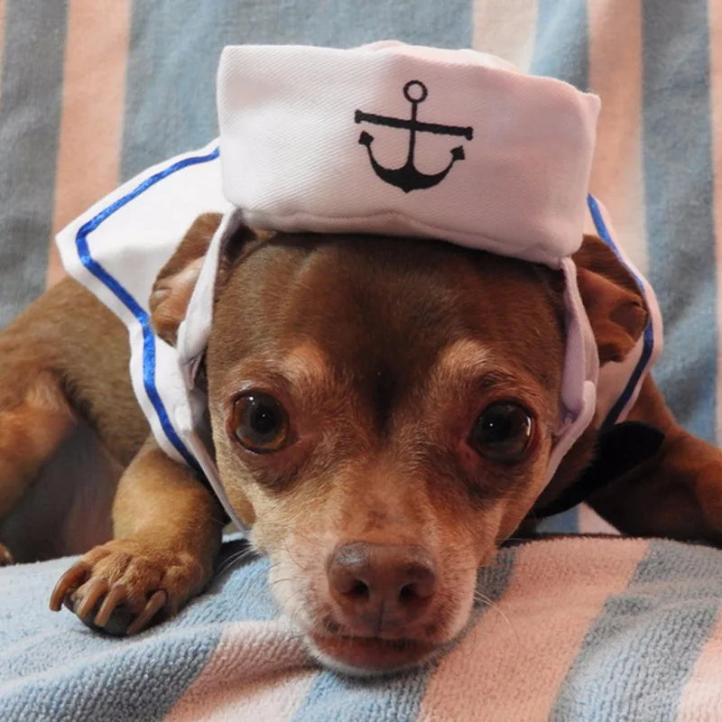 Funny Pet Cat Costumes Small Dog Rabbit Apparel Clothes For Halloween Cosplay Navy Sailor Clothes Jacket Cloak Dog Accessories
