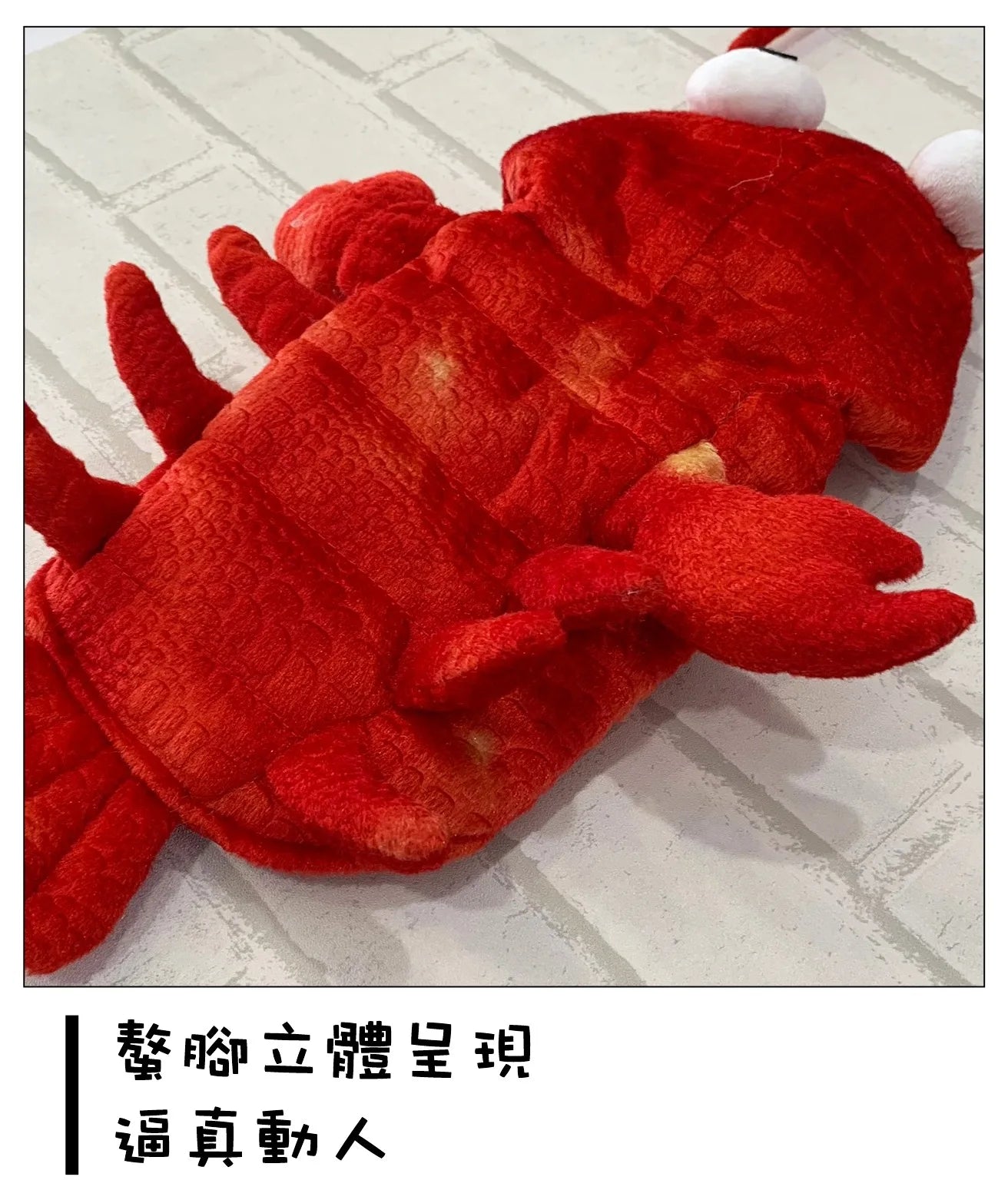 Pet Clothes Halloween Lobster Transformation Cats and Dogs Costumes Teddy Corgi Autumn and Winter New Dog Costumes Wholesale