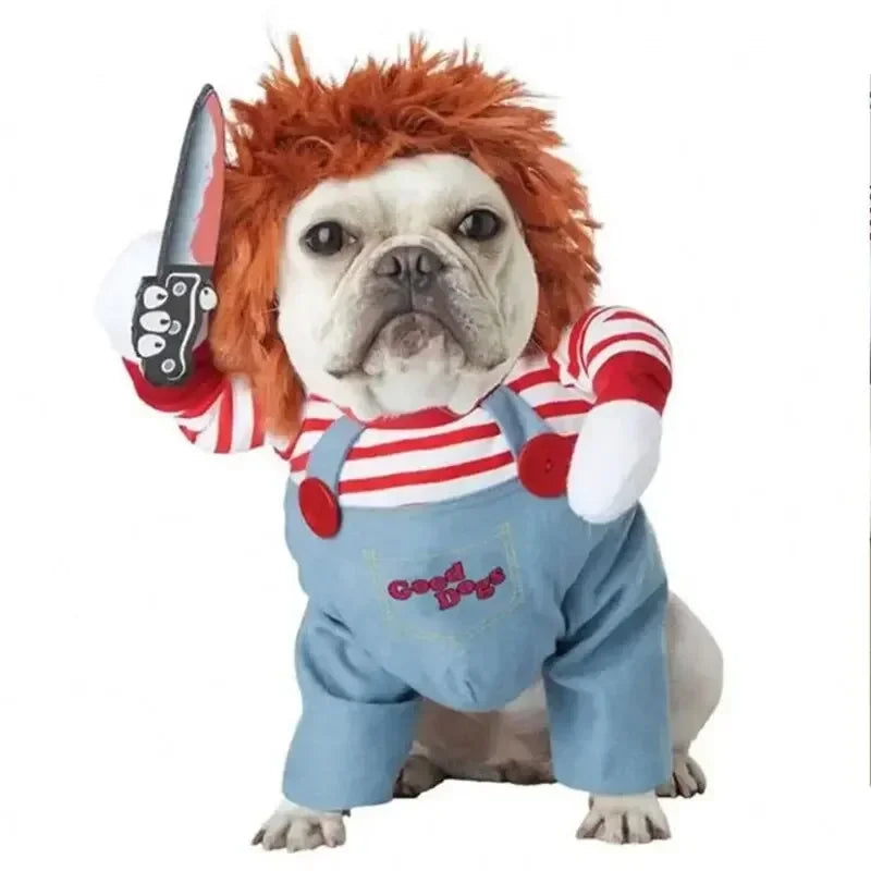 Halloween Dog Costumes Funny Pumpkin Lantern Transformation Outfit Halloween Dog Cat Two Legged Pet Cute Pumpkin Hat Dog Jacket