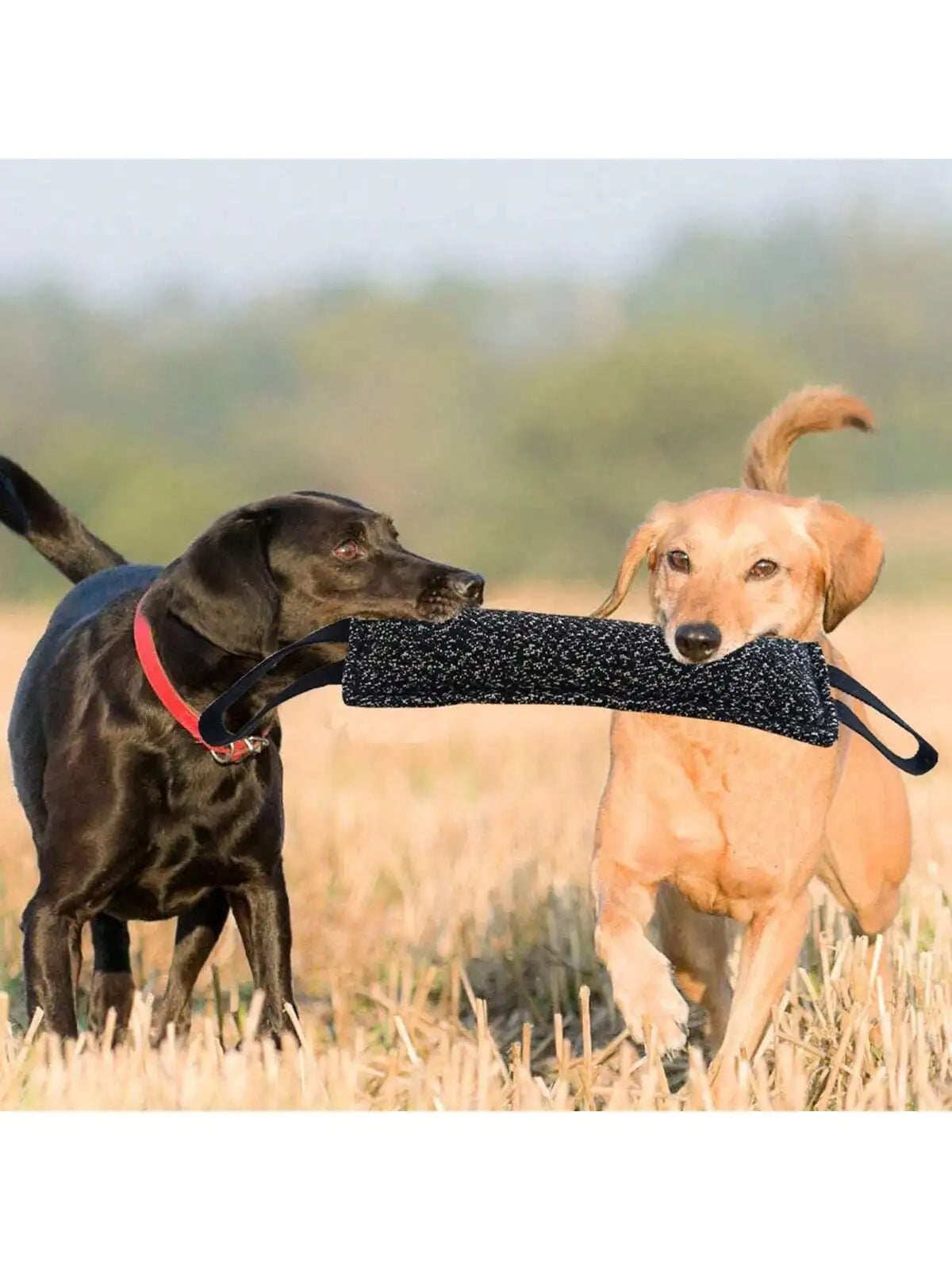 1pc Dog Bite Stick Enhances Effective Training- Comfortable Handle For Interactive Play, Grinding Teeth, And Chew Training