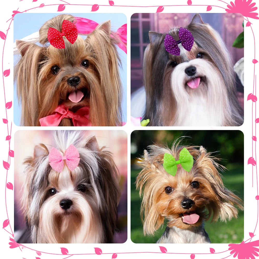 50 Pcs In pairs New Mix Color Dog Hair Bows Make of Lace Dog Hair Bows Rubber bands Pet Grooming Accessories Products Cute Gift