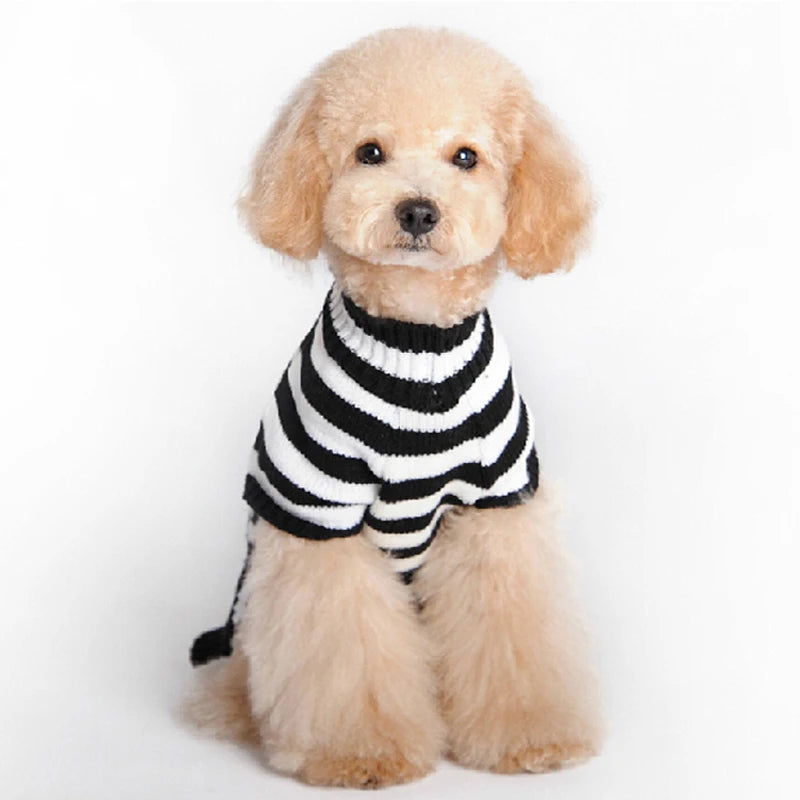 Halloween Dog Sweater Costume Skull Pumpkin Holiday Clothes Chihuahua Teddy for Small Medium Large Dog Cat Autumn Winter Warm