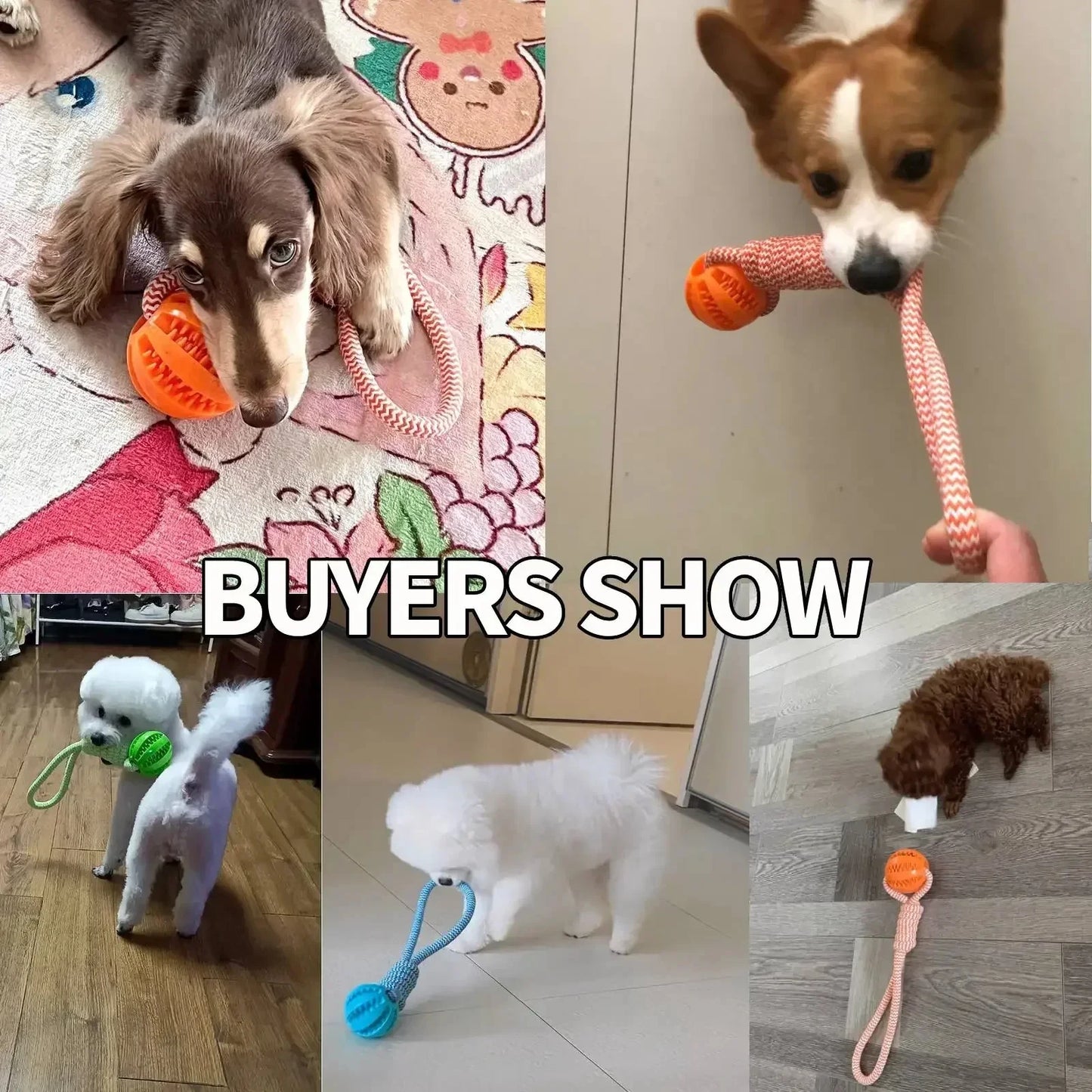 Dog Ball Toy with Rope Interactive Leaking Balls for Small Large Dogs Bite Resistant Chew Toys Puppy Training Pet Accessories
