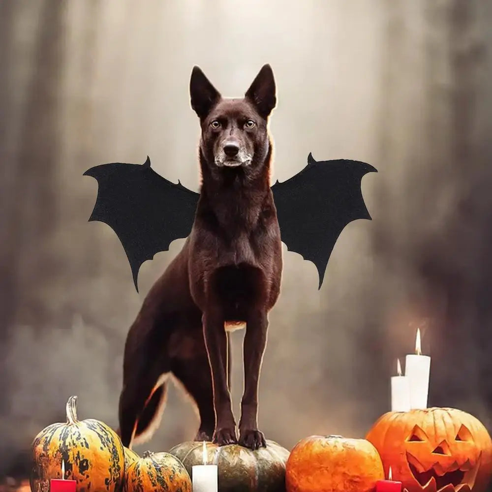 Pet Halloween Costume - Bat Wings Apparel for Dogs & Cats, Cute Cosplay Dress-Up Accessories, Black Winged Outfit
