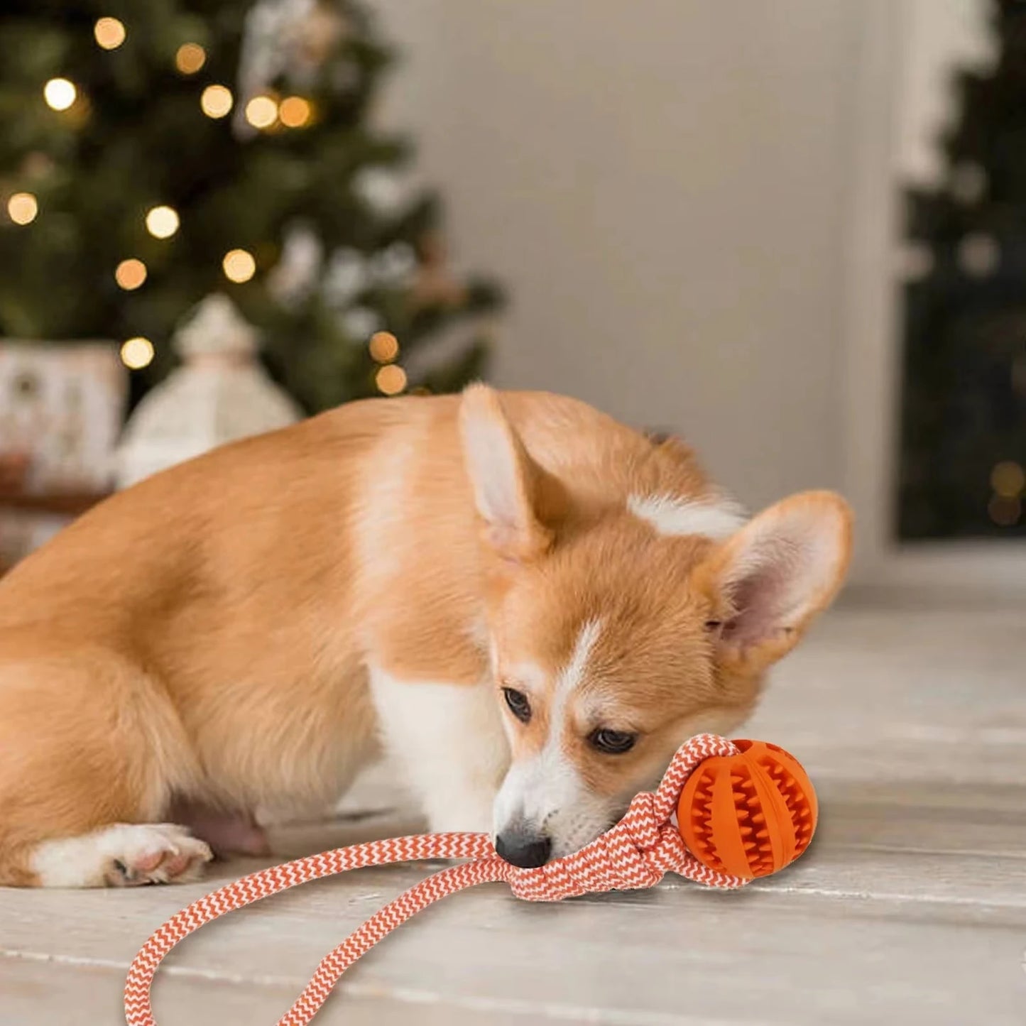 Dog Ball Toy with Rope Interactive Leaking Balls for Small Large Dogs Bite Resistant Chew Toys Puppy Training Pet Accessories