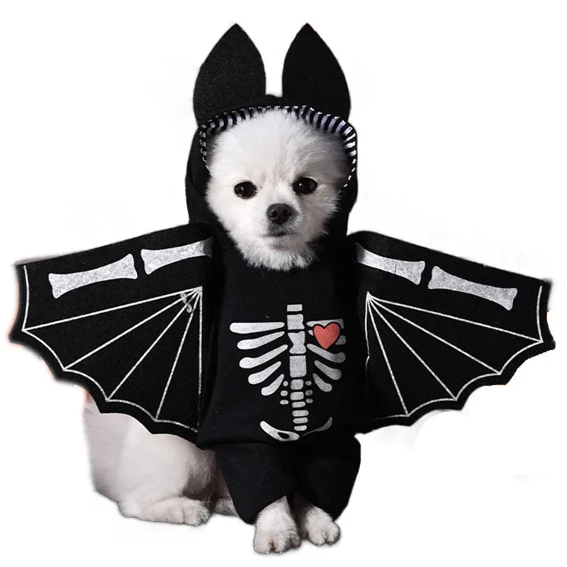 Halloween Dog Costumes Funny Pumpkin Lantern Transformation Outfit Halloween Dog Cat Two Legged Pet Cute Pumpkin Hat Dog Jacket