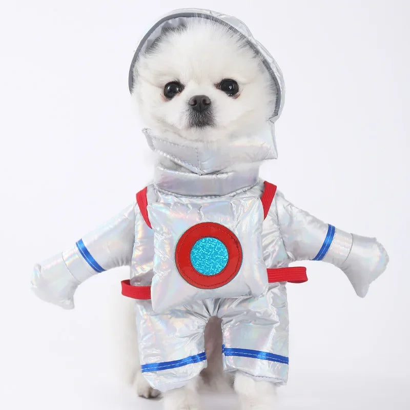 Halloween Dog Costumes Funny Pumpkin Lantern Transformation Outfit Halloween Dog Cat Two Legged Pet Cute Pumpkin Hat Dog Jacket