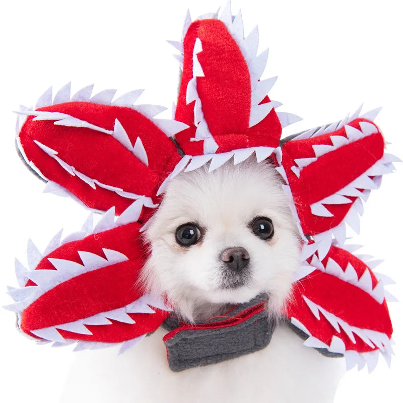 Halloween Dog Clothes Funny Pet Costume Small Dog Jacket Creative Outfit for Teddy Cats Costume Dog Clothes for Small Dogs