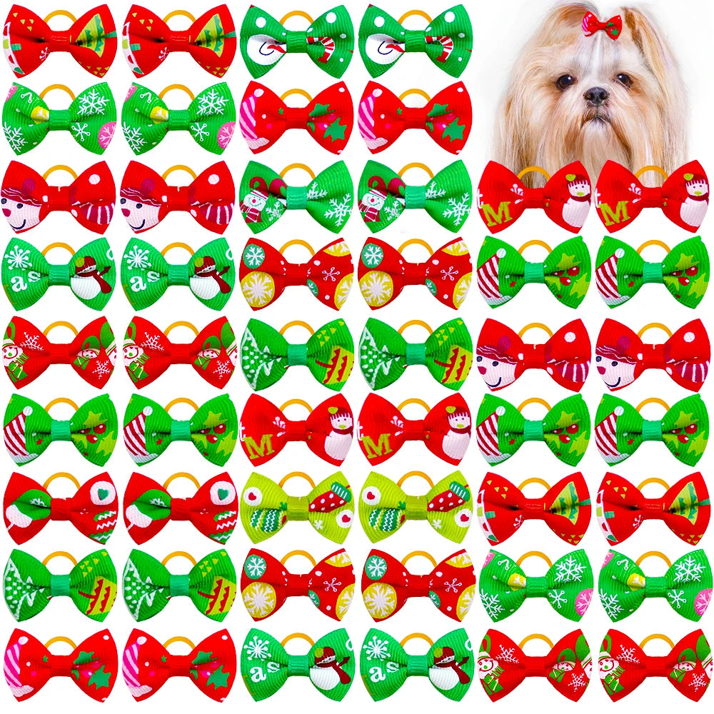47539605831982|47539605864750|47539605897518