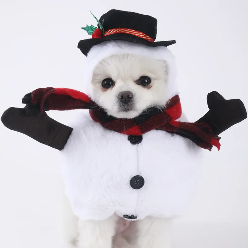 Halloween Dog Clothes Funny Pet Costume Small Dog Jacket Creative Outfit for Teddy Cats Costume Dog Clothes for Small Dogs