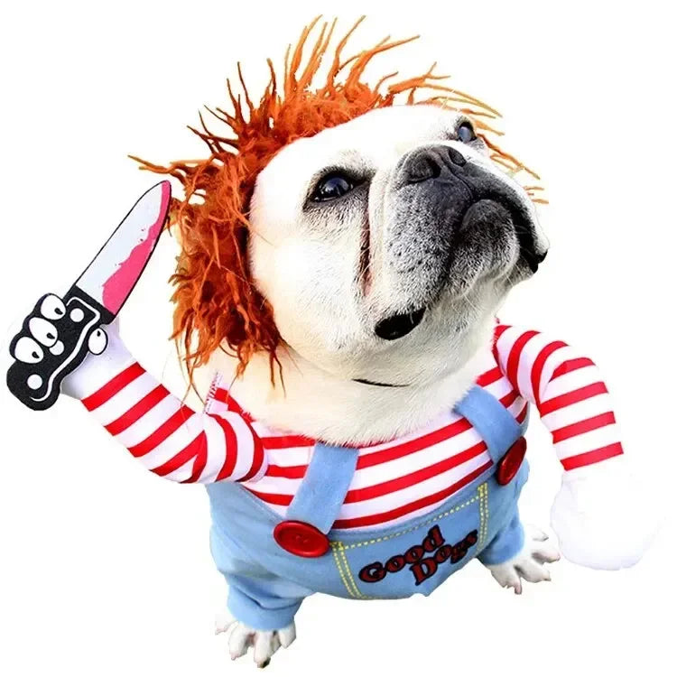 Halloween Dog Costumes Funny Pumpkin Lantern Transformation Outfit Halloween Dog Cat Two Legged Pet Cute Pumpkin Hat Dog Jacket