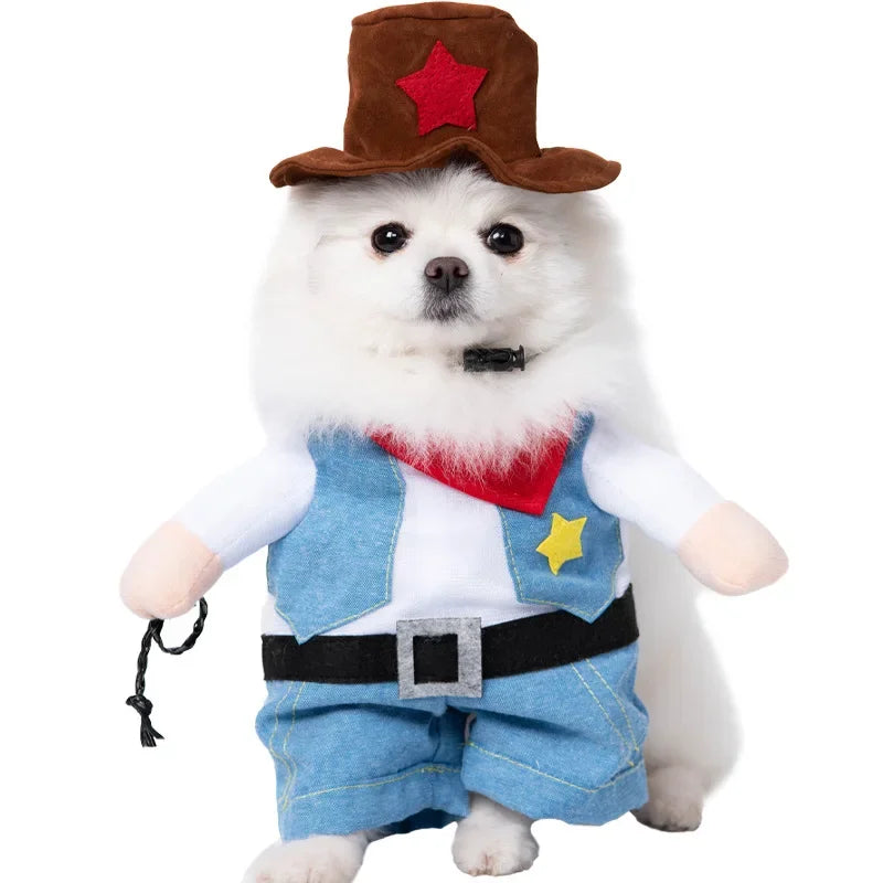 Halloween Dog Costumes Funny Pumpkin Lantern Transformation Outfit Halloween Dog Cat Two Legged Pet Cute Pumpkin Hat Dog Jacket