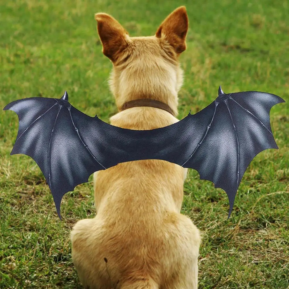 Pet Halloween Costume - Bat Wings Apparel for Dogs & Cats, Cute Cosplay Dress-Up Accessories, Black Winged Outfit