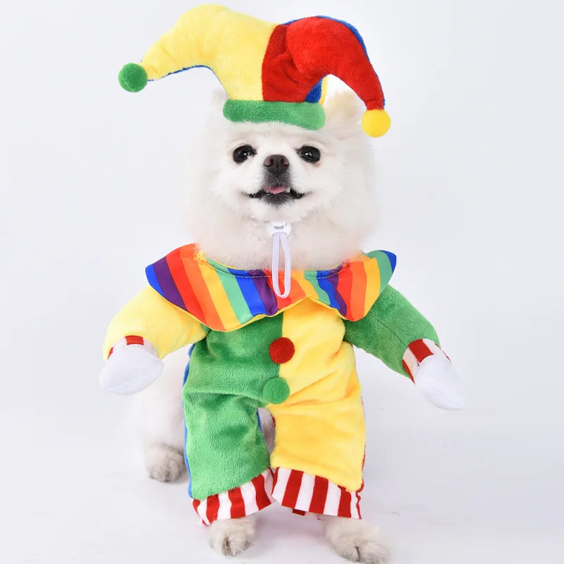 Halloween Dog Costumes Funny Pumpkin Lantern Transformation Outfit Halloween Dog Cat Two Legged Pet Cute Pumpkin Hat Dog Jacket