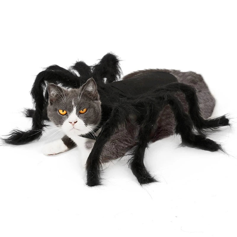 NONOR Halloween Dog Cat Clothes Pet Cosplay Funny Spider Costume Halloween Party Costumes for Small Medium Dog Cat Costumes
