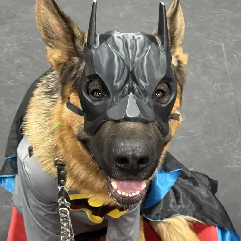 1-10PCS Pet Avengers Mask Set Halloween Cosplay Costume for Cats Dogs Halloween Decoration Party Use Pet Supplies Outfit