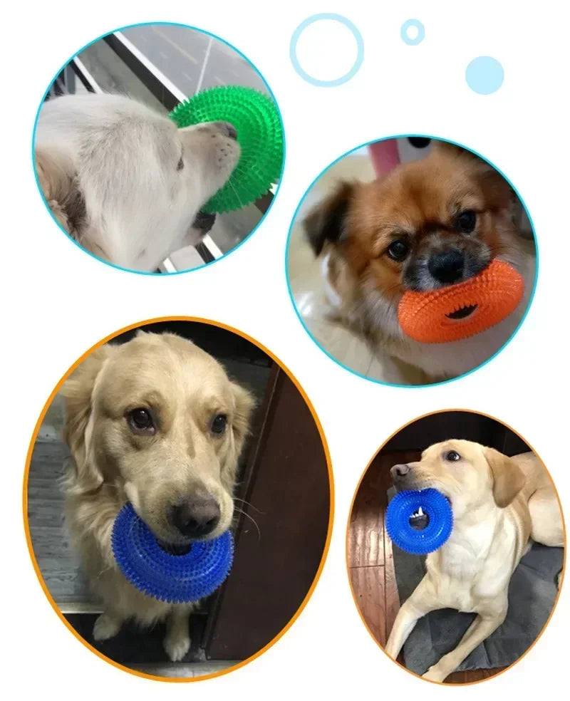 Durable TPR Chew Toy for Dogs - Interactive Thorn Barbed Design Promotes Dental Health & Bite Resistance