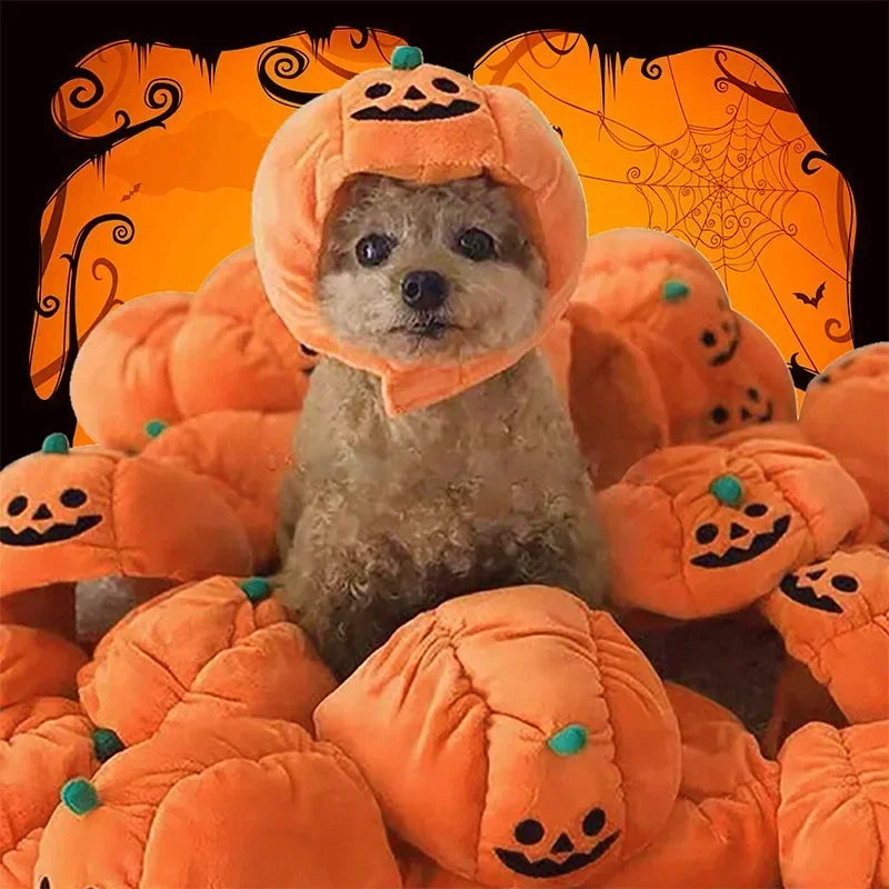 Halloween Pet Cat Dog Pumpkin Hat Halloween Ghost Day Decorative Supplies Small Medium and Large Dogs Teddy Fadou Headgear