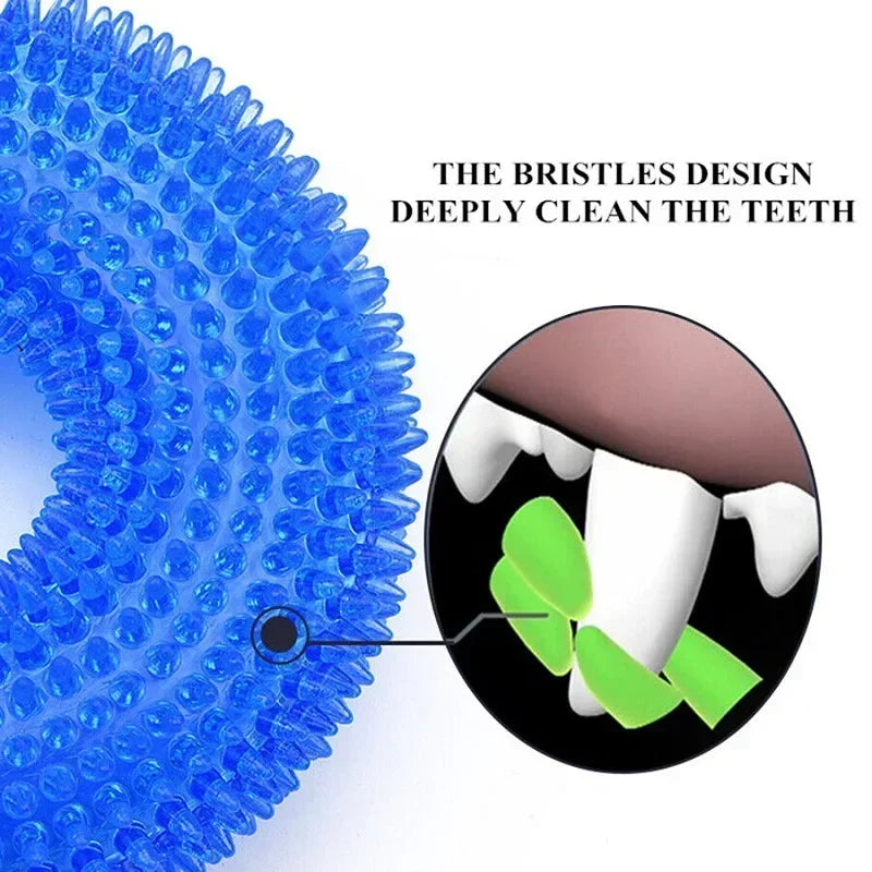 Durable TPR Chew Toy for Dogs - Interactive Thorn Barbed Design Promotes Dental Health & Bite Resistance
