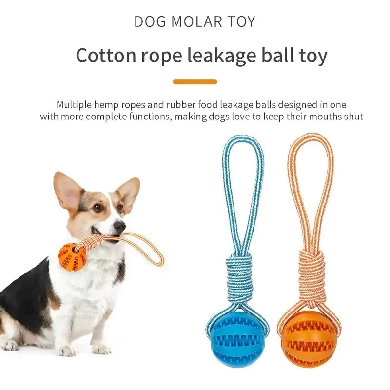 Dog Ball Toy with Rope Interactive Leaking Balls for Small Large Dogs Bite Resistant Chew Toys Puppy Training Pet Accessories
