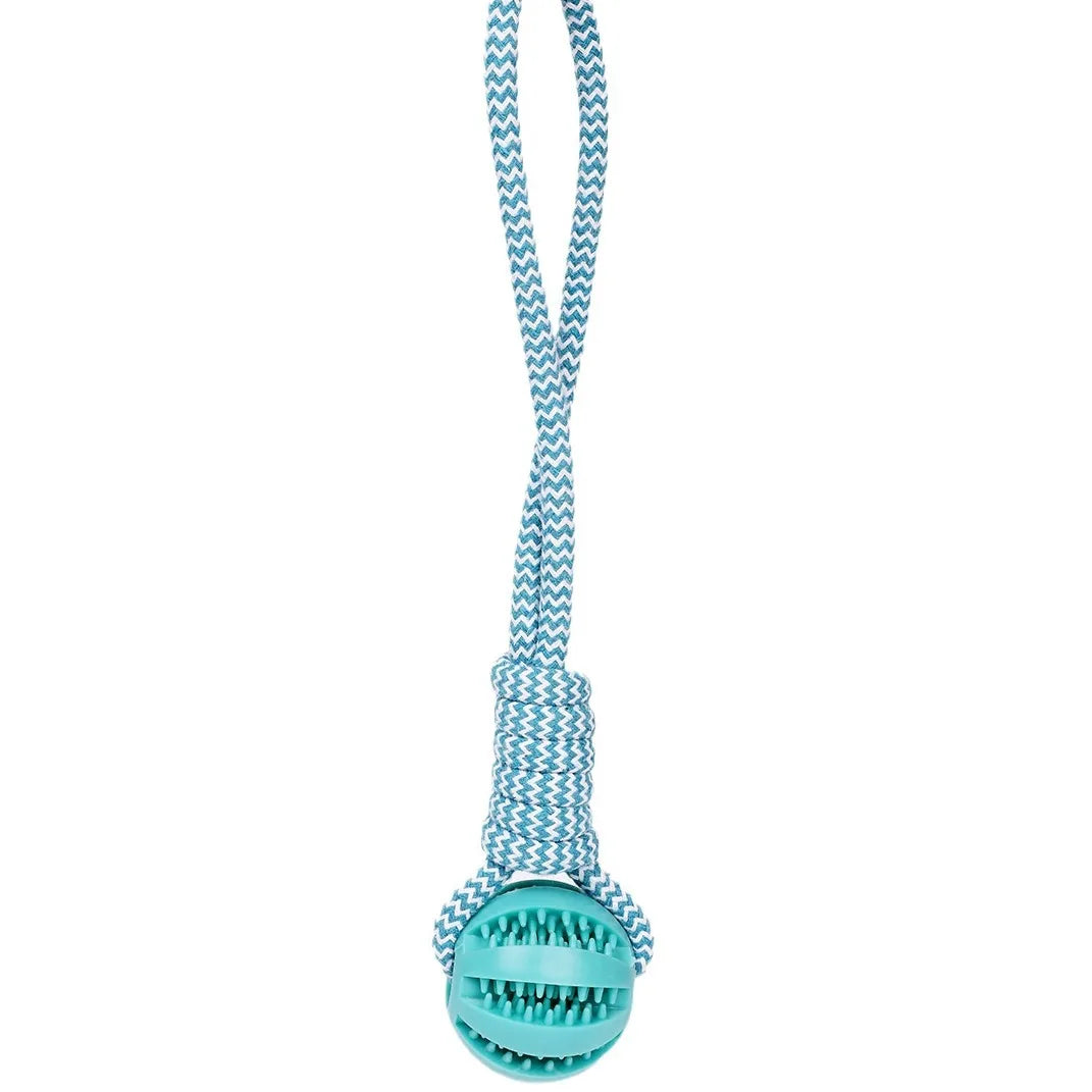 Dog Ball Toy with Rope Interactive Leaking Balls for Small Large Dogs Bite Resistant Chew Toys Puppy Training Pet Accessories