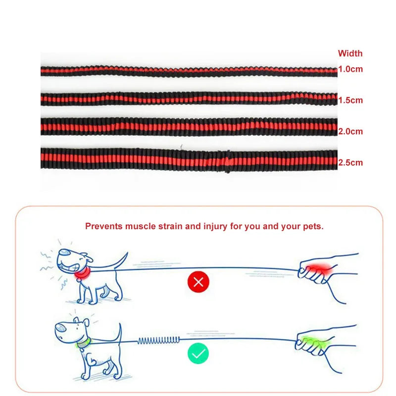 Large Dogs Cats Leash Elastic Pet Cat Puppy Dog Leash Anti Dash Pull Dog Lead Leash 190cm Retractable Leash for Dogs Collar
