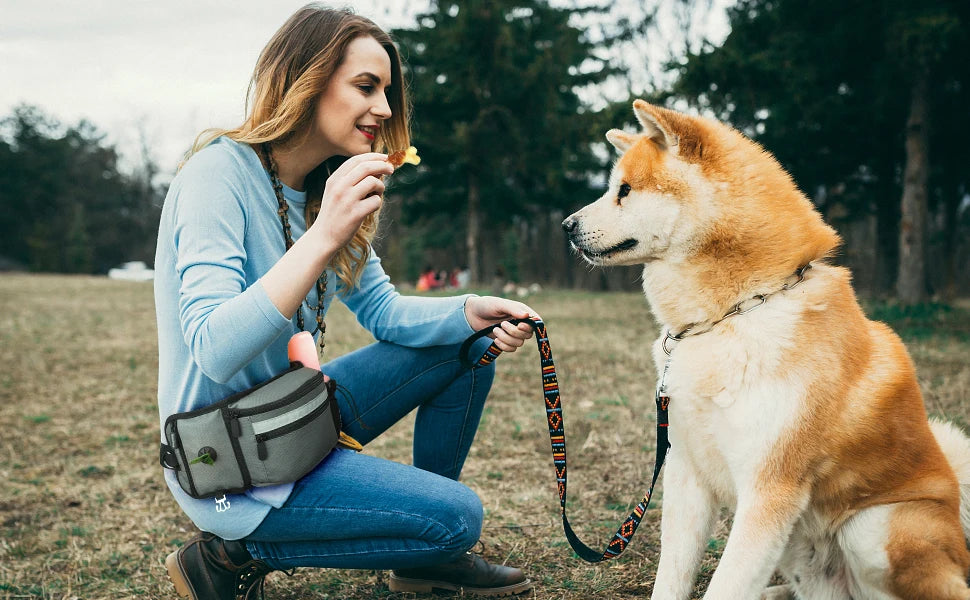 Dog Treat Bag for Training Outdoor Dog Treat Pouch Training Feeding Bag Multi-use Waist Bag Pet Trainer Prizes Holder Waist Bag